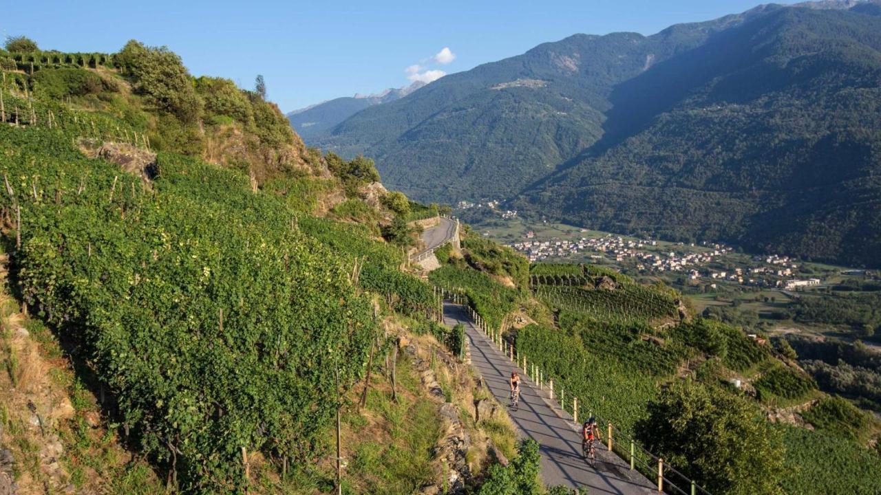Albosaggia 泰拉德尔索勒农庄旅馆旅馆 外观 照片